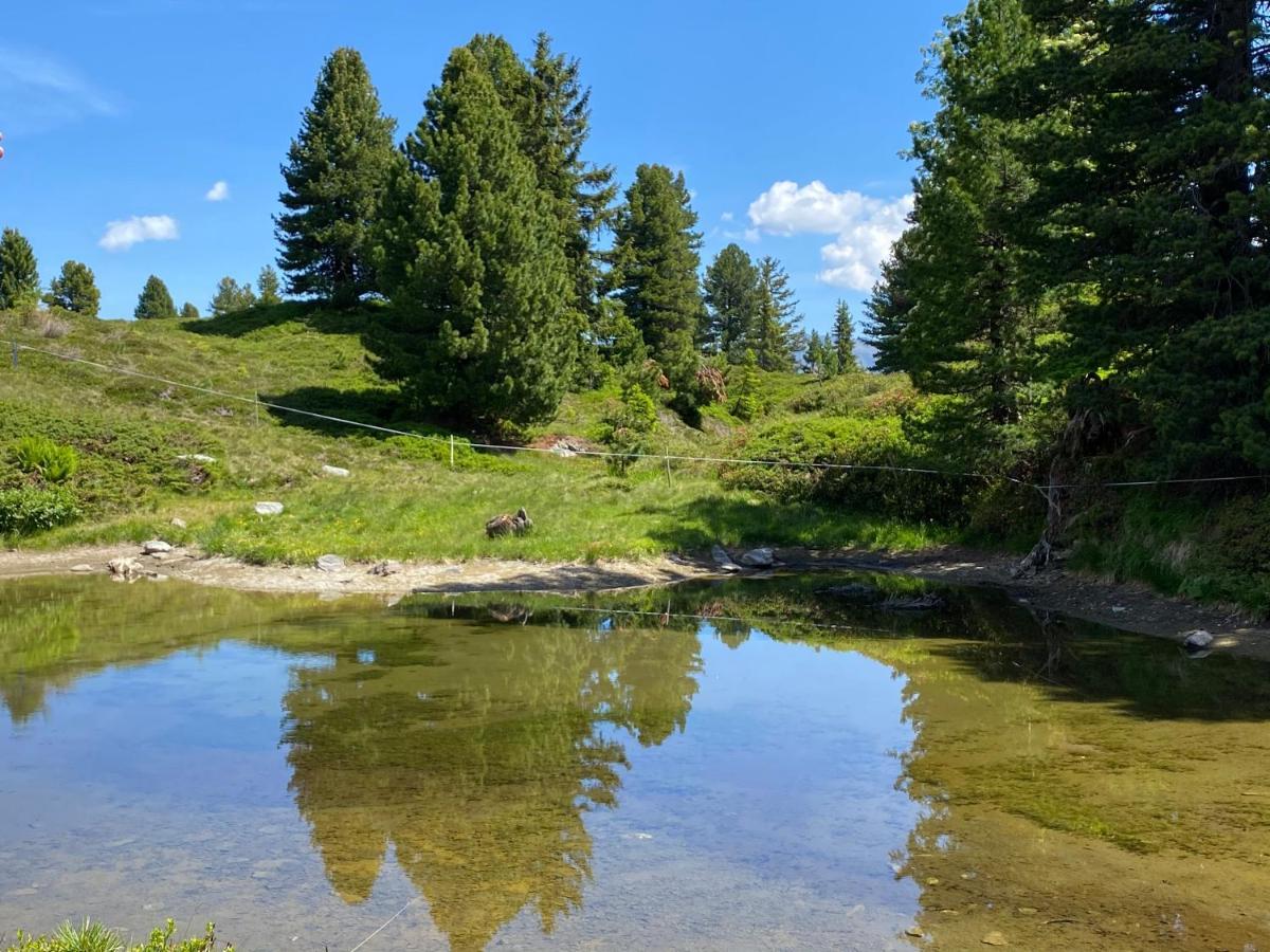 Апартаменти Landhaus Rieder Im Zillertal Aschau Im Zillertal Екстер'єр фото